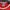 Adidas Streetwear T-shirt Pria red photo 5