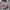 Hysteric Glamour Streetwear Y2K T-shirt Pria gray photo 2