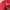 dress cheongsam maroon photo 3
