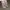 NIKE TN  photo 1