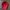 Vondutch Red Velvet Hat Spell Out Line photo 6