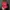 Vondutch Red Velvet Hat Spell Out Line