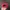 Vondutch Red Velvet Hat Spell Out Line photo 5
