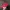 Vondutch Red Velvet Hat Spell Out Line photo 4