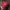 Vondutch Red Velvet Hat Spell Out Line photo 2