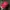 Vondutch Red Velvet Hat Spell Out Line