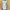 Helmut Lang Grunge Avant Garde Blouse Wanita white photo 2