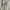 Helmut Lang Grunge Avant Garde Blouse Wanita white photo 8