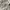 Helmut Lang Grunge Avant Garde Blouse Wanita white photo 7