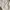 Helmut Lang Grunge Avant Garde Blouse Wanita white photo 6
