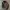 Vondutch Commando Ripped Distressed Hat Denim Greywashed photo 6