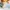 Nike Air Zoom Alphafly photo 5