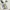 Adidas Real Madrid 2013-2014 Original blokecore jersey photo 4