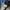 Vintage Bobson Trucker Denim Jacket photo 7