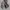 Jaket Sport Windbreaker Codegraphy Tech Short Oversize Abu photo 7