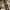 Morgan De Toi Vintage Y2K Crop top Wanita tan brown photo 4