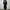 Long pants franken mono sweatpants black  photo 2