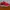 Nike Casual Sneakers Pria red photo 1