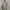 MINI DRESS FLORAL MERK WIZ M photo 1