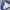 Phenix Vintage Windbreaker Pria navy photo 8