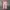 Vintage Elle Sport Flower Pattern Pants photo 1