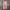 Vintage Elle Sport Flower Pattern Pants photo 6