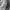 Yeezy Avant Garde Futurist Sweater Pria black photo 6