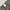Vtg oneill carpenter longpants photo 8