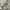 Vtg oneill carpenter longpants photo 6