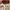 Shoulder Bag Charles And Keith 