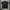 T-shirt OBEY photo 1
