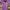 Fairy Casual Going Out Dress Wanita Purple