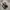 Nike Airmax Dawn  photo 1
