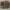 Fossil Vintage Luxury Handbag Wanita Brown
