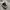 Converse 70s Hi Black White photo 1