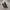 Converse One Star Black White photo 2