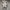 Converse One Star Ivory Cream photo 5