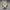 Converse One Star Ivory Cream photo 4