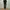 LEE JEANS DARK GRAY FADING BOOTCUT FIT. photo 2