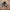 Converse ct low photo 3