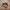 Converse ct low photo 1