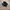 New balance 1906l  photo 3
