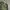adidas ringger tee 3 stripes camo  photo 1