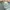 Jersey Bola Arsenal Training 2020/2021 Original XXL photo 8