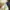 Jersey Bola Arsenal Training 2022/2023 Original XXL photo 7