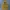 Skechers Streetwear Y2K Hoody Pria yellow photo 1