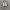 Adidas superstar photo 1