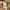 Carhartt Vintage Jeans Dungaree Fit Duck Loose Fit photo 6