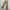 Carhartt Vintage Jeans Dungaree Fit Duck Loose Fit photo 8