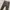 Gladiator Long Pants Cargo Slim Fit Pants Relaxed Tapered Da photo 7